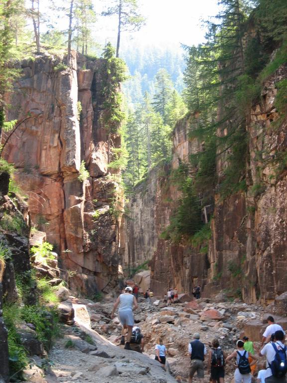 Garni Sonnegg Panzió Petersberg Kültér fotó